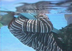 backstroke swim pool